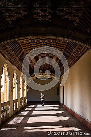 Toledo, Castilla La Mancha, Spain Editorial Stock Photo