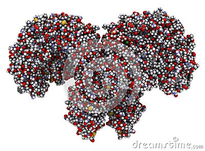 Toll-like receptor 4 (TLR4, extracellular domain) bound to lipopolysaccharide (LPS) and MD-2. Involved in activating the innate Stock Photo