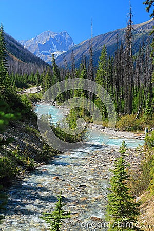 Kootenay National Park, British Columbia, Windemere Road and Vermilion River at Marble Canyon, Canadian Rocky Mountains, Canada Stock Photo