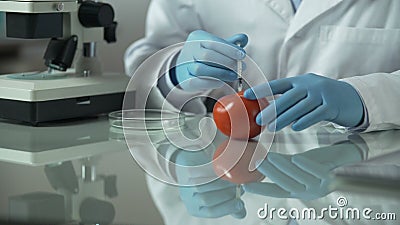 Tomate de bombeamento do assistente de laboratório com os aditivos para prolongar a vida útil, qualidade de alimento vídeos de arquivo Tomate de bombeamento do assistente de laboratório com os aditivos para prolongar a vida útil, qualidade de alimento vídeos de arquivo