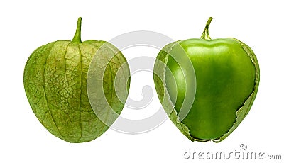 Tomatillo Pair isolated on white Stock Photo