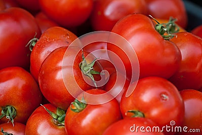 Fresh harvested tomato in a box Stock Photo