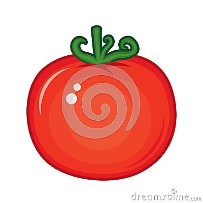 tomato Vector Illustration