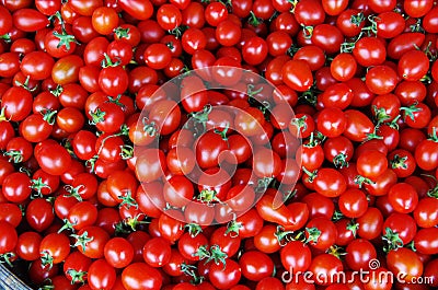 Tomato Stock Photo