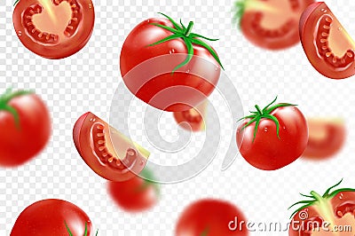 Tomato background. Falling fresh ripe tomatoes, isolated on transparent background. Selective focus. Flying defocusing red tomato Vector Illustration