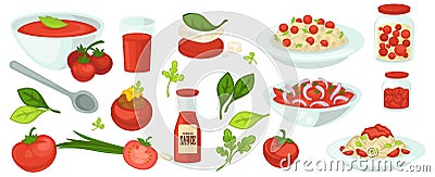 Tomato based food and dishes, soup and salads Vector Illustration