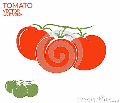 Tomato. Branch Vector Illustration