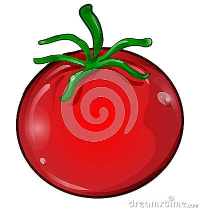 tomato cartoon isolated Vector Illustration