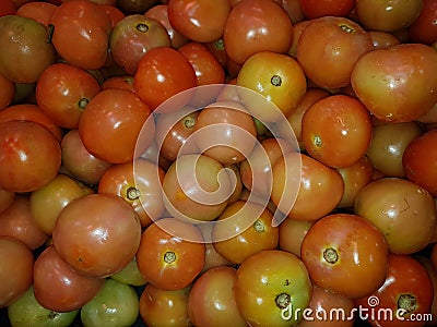 TOMATO Stock Photo