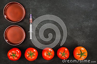 Tomato genetically modified food on the blackboard Stock Photo