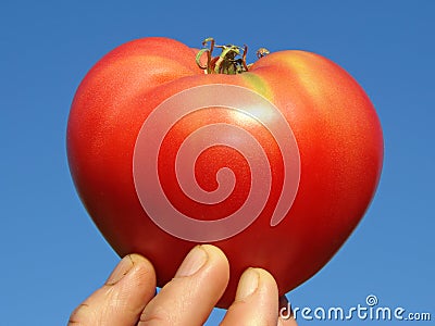 Tomato heart Stock Photo