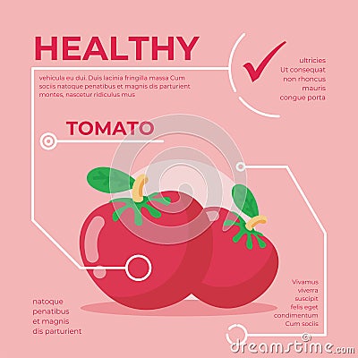 Tomato infographic vector Design, fresh vegetable Cartoon Illustration