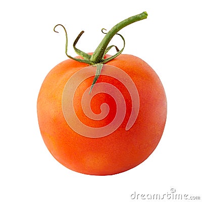 Tomato isolated on a white background, full depth of field, no shadow, poison for design Stock Photo
