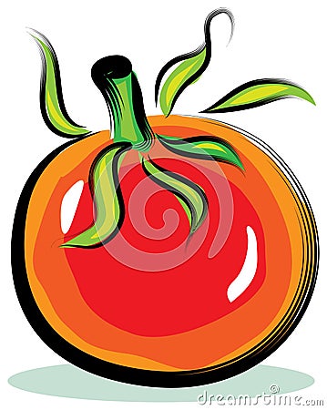 Tomato Vector Illustration