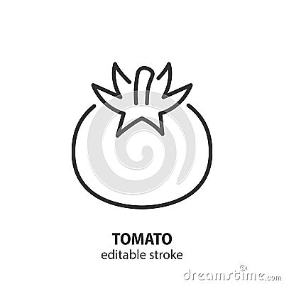 Tomato line icon. Natural bio vegetable vector sign. Editable stroke Vector Illustration