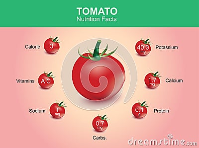 Tomato nutrition facts, tomato fruit with information, tomato vector Vector Illustration