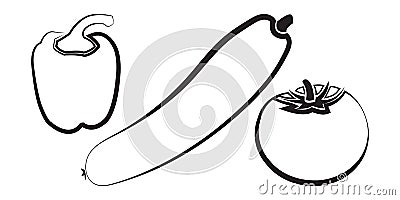 tomato, pepper, cucumber contours Vector Illustration