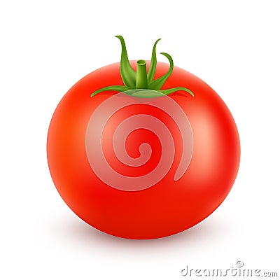 Tomato realistic isolated on white. Vector illustration Vector Illustration