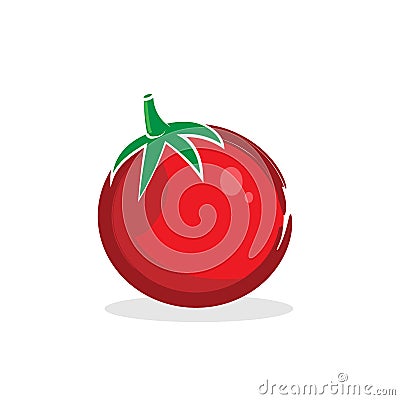 Tomato Vector Illustration