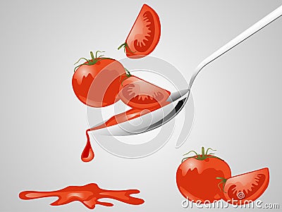 Tomato sauce Vector Illustration