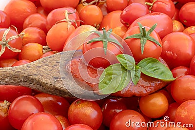 Tomato sauce on wooden spoon with cherry tomatoes and basil on background with tomatoes. Isolated photo Italian cuisine pasta Stock Photo