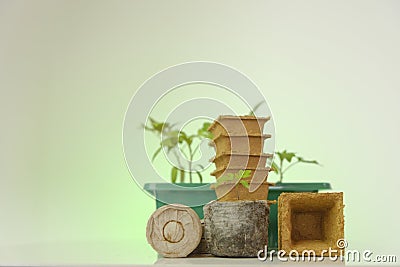 Tomato seedlings in peat cups on a green background. Saplings and planting material.Spring seedling cultivation Stock Photo