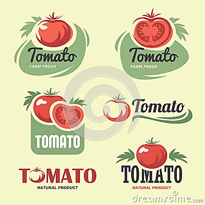 Tomato Vector Illustration