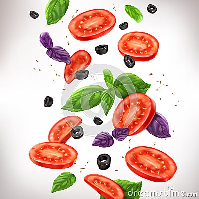 Tomato slices, olives, basil illustration. Assorted composition Vector Illustration