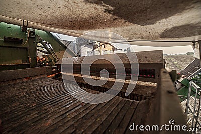 Tomato-sorting machine at tomato harvester Stock Photo