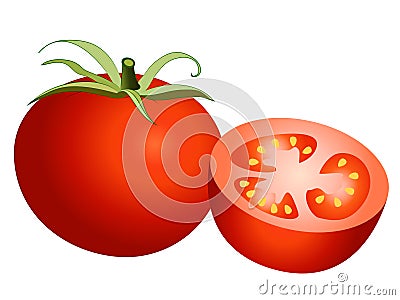 Tomato Vector Illustration Stock Photo