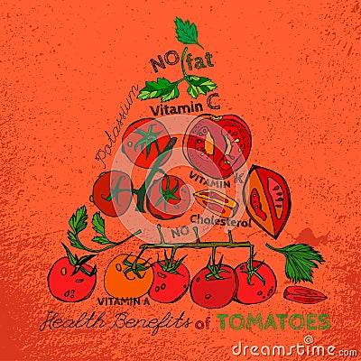 Tomato vector Image Vector Illustration