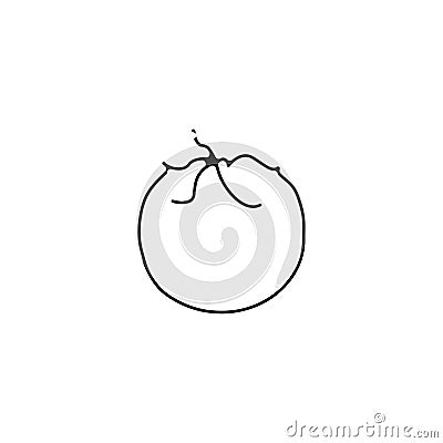 Tomato thin line icon. tomato linear outline icon Vector Illustration