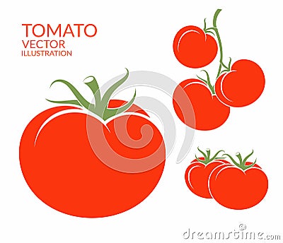 Tomato. vegetables on white background Vector Illustration