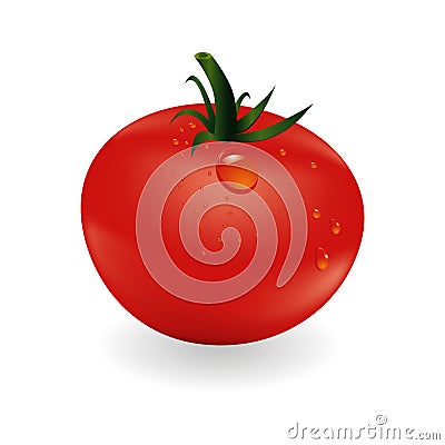Tomatoe and drops Vector Illustration