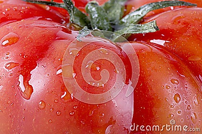 Tomatoe macro shot Stock Photo