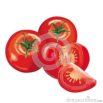 Tomatoes Vector Illustration