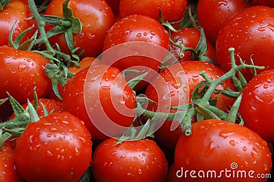 Tomatoes Stock Photo