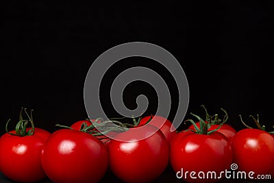 Tomatoes on a black background. Tomatoes on a vine on a dark background. Stock Photo