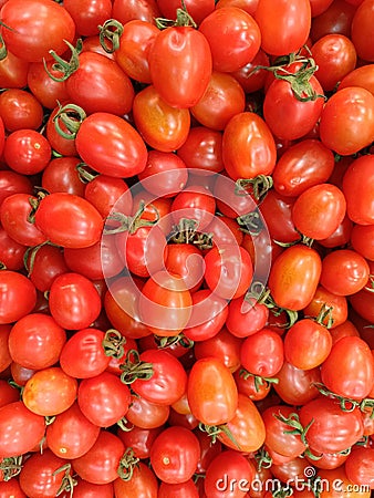 Tomatoes can be categorized as fruits and vegetables which are rich akan vitamin C Stock Photo