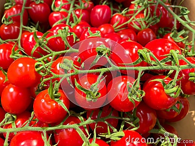 Tomatoes in cardboard boxes. Ripe red tomatoes. Stock Photo