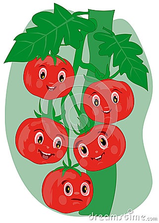 Tomatoes, cartoon vector illustration. Several cartoon tomatoes with smiley faces on a branch Vector Illustration