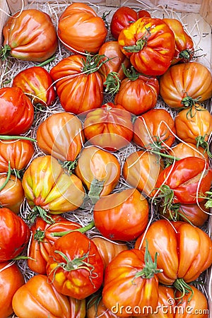 tomatoes, market in Nyons, Rhone-Alpes, France Stock Photo