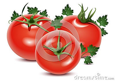 Tomatoes and parsley Vector Illustration