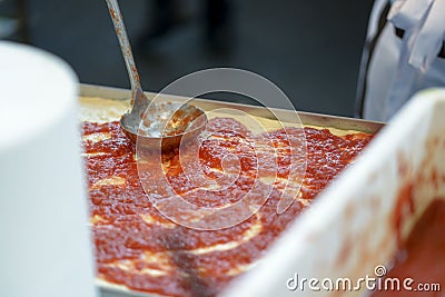 Tomatoes on the pizza Stock Photo