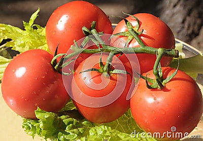 Tomatoes with rain drops 3 Stock Photo