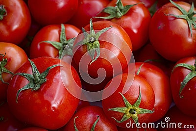 Tomatoes Stock Photo