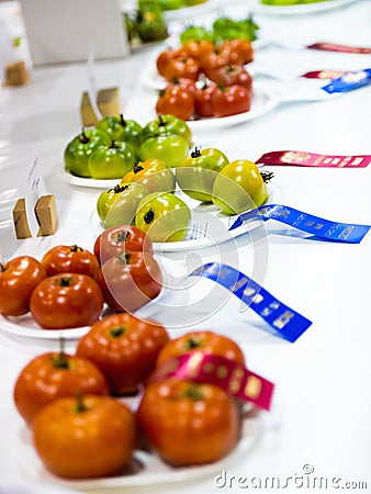 Tomatoes with Ribbons at an Agricultural Competition Stock Photo