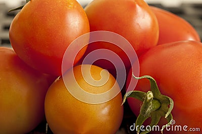 Tomatoes Ripe Stock Photo