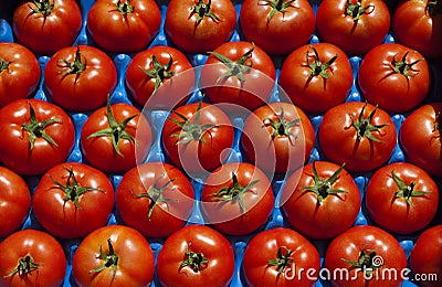 Tomatoes, ripe in a crate Stock Photo