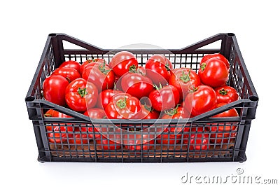 Tomatoes (Solanum lycopersicum) in plastic crate Stock Photo